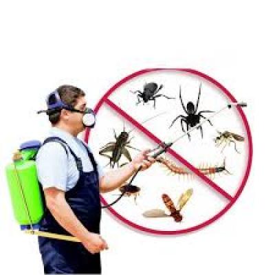 Dịch vụ kiểm soát côn trùng Dịch vụ kiểm soát côn trùng