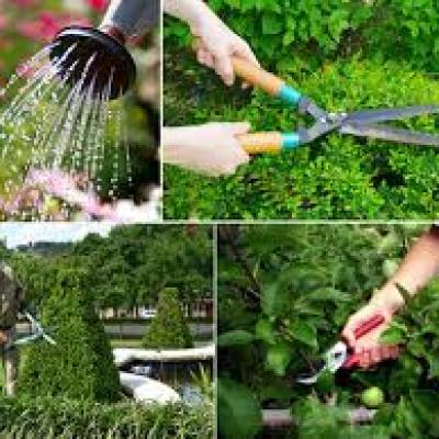 DỊCH VỤ chăm sóc cảnh quan DỊCH VỤ chăm sóc cảnh quan